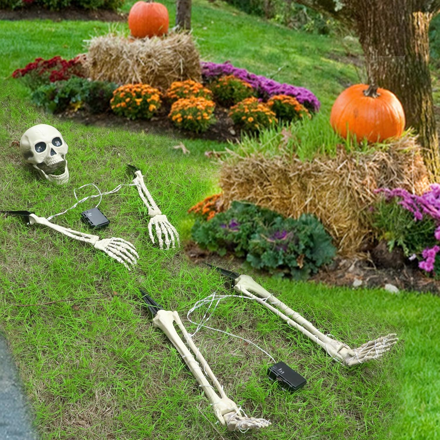 Esqueleto Iluminado Halloween con Luces LED Púrpura y Ojos Rojos