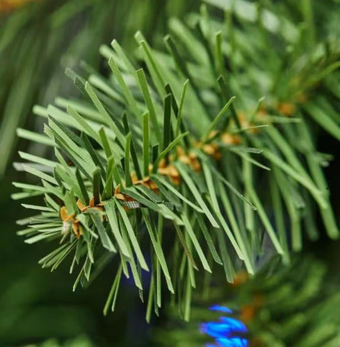 Árbol De Navidad Wesley Iluminado 9ft 2,123 Ramas 650 Luces