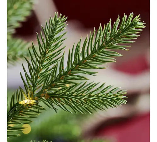 Jackson Noble Árbol de Navidad Artificial Premium con Luces LED Integradas