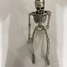 Esqueleto Posable Hyde & EEK! Halloween 22 pulgadas, detalle espeluznante