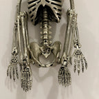 Esqueleto Posable Hyde & EEK! Halloween 22 pulgadas, detalle espeluznante